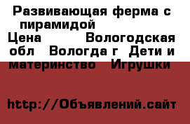 Развивающая ферма с пирамидой  Kiddieland › Цена ­ 700 - Вологодская обл., Вологда г. Дети и материнство » Игрушки   